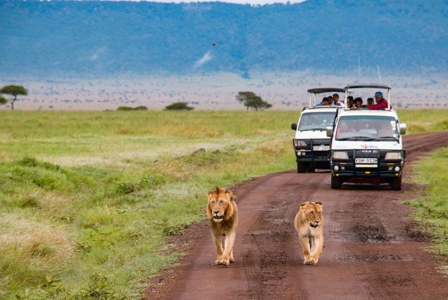 12-Day East Africa Grand Safari