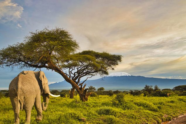 7-Day Kenya Classic Safari