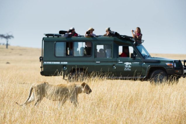 8-Day Cross-Border Big Five Adventure
