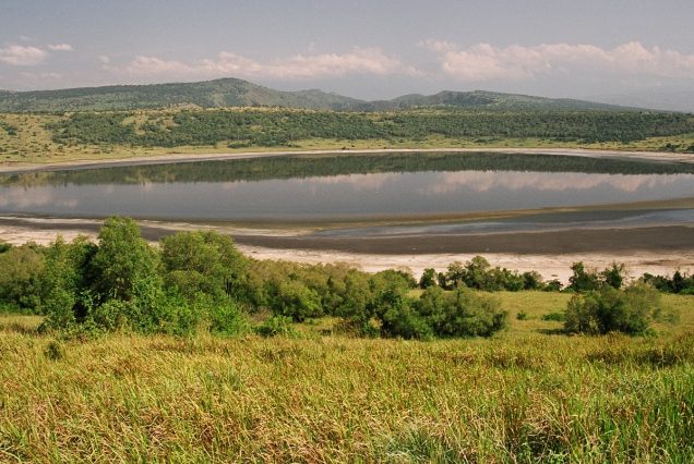 5 Days - Bwindi, Queen Elizabeth and Kalinzu Forest