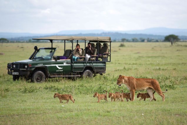 9 Days - Tanzania Safari Adventure in Serengeti, Ngorongoro Crater & Tarangire