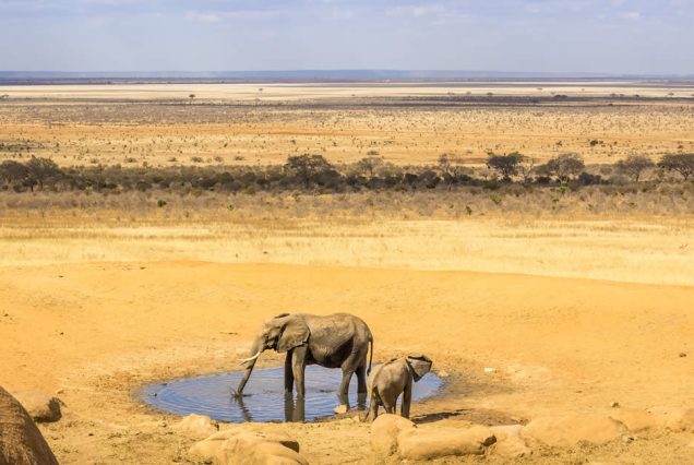 5 Days - (Big Five Safari)Amboseli, Tsavo West and Tsavo East