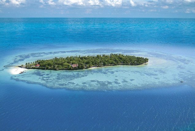 8 Days Serengeti Safari & Zanzibar Beach Escape