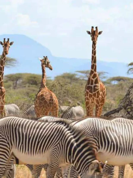 Samburu-National-Park